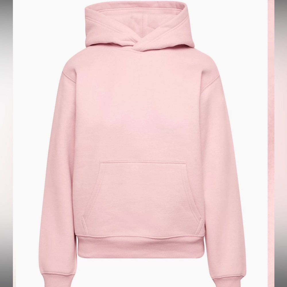 Aritzia Cozy Fleece Perfect Hoodie